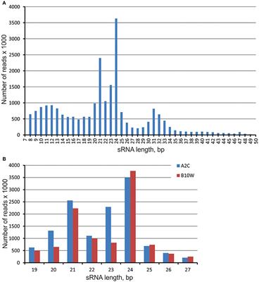 In Silico Analysis of Small RNAs Suggest Roles for Novel and Conserved miRNAs in the Formation of Epigenetic Memory in Somatic Embryos of Norway Spruce